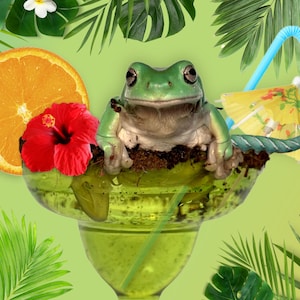 Postal Choncho Frocktail (23 de julio)