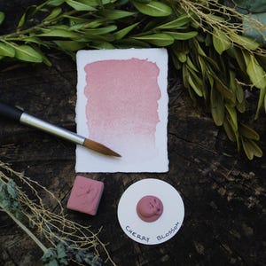 Handgemaakte aquarelverf - "Kersenbloesem" - half na of voorbeeldstip, niet-giftige aardepigmenten, natuurlijke verven van kunstenaarskwaliteit