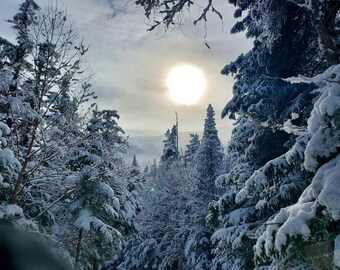 Sun New Hampshire
