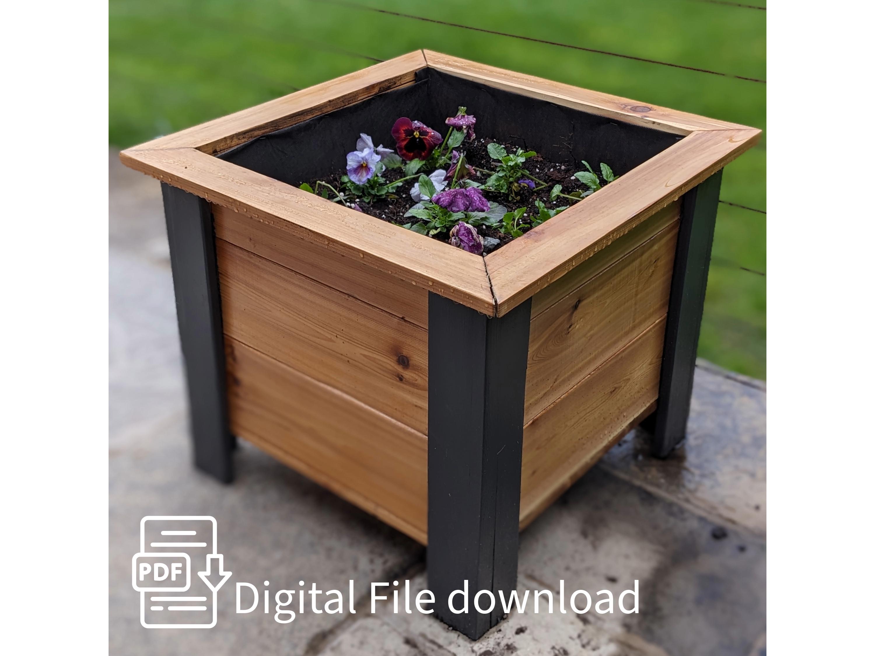 ceramic planter with saucer Oversized Mug & Saucer Ceramic Planter – The Window main image 0