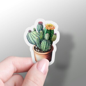 Pegatinas de cactus, pegatina de saguaro floreciente, cactus de Navidad, racimo de cactus, lindo encanto para teléfono, favores de cactus, Arizona, calcomanía de vinilo para computadora portátil