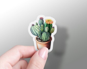 Cactus Stickers, Blooming Saguaro Sticker, Christmas Cactus, Cactus Cluster,  Cute Phone Charm, Cactus Favors, Arizona, Vinyl Laptop Decal
