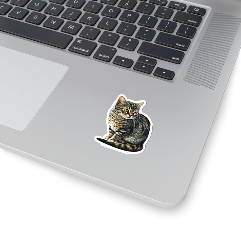 Tabby Cat Sticker, Cute Brown Tabby Cat Sticker, Vinyl Cat Mom Sticker, Grey Tabby Cat, Cat Car Sticker, Cat Themed Gift, Phone Case Sticker 2" × 2"