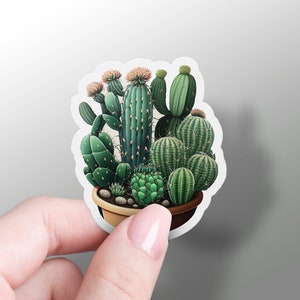 Pegatinas de cactus, pegatina botánica, funda de teléfono de vinilo, saguaro, regalo de Navidad, calcomanía de botella de agua, pegatina estacionaria, favores de cactus, racimo