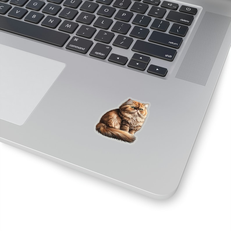 Persian Cat Sticker Cute Persian Cat Sticker Vinyl Cat Phone Sticker Cat Owner Gift Cat Lover Sticker Cute Cat Owner Laptop Sticker Pet Gift image 4