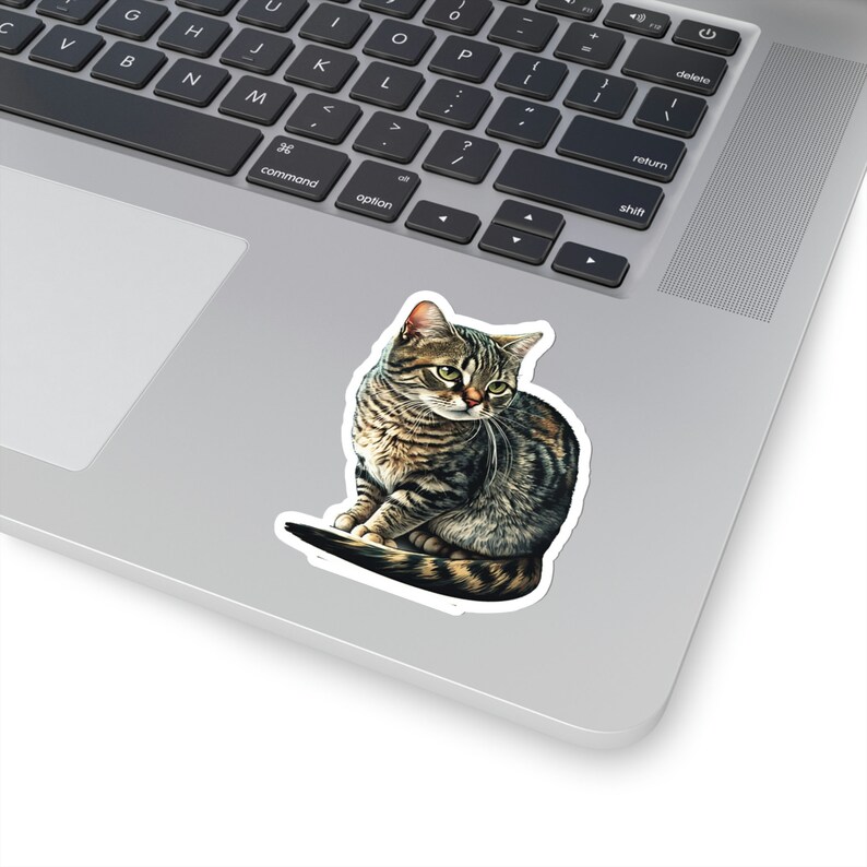 Tabby Cat Sticker, Cute Brown Tabby Cat Sticker, Vinyl Cat Mom Sticker, Grey Tabby Cat, Cat Car Sticker, Cat Themed Gift, Phone Case Sticker 3" × 3"