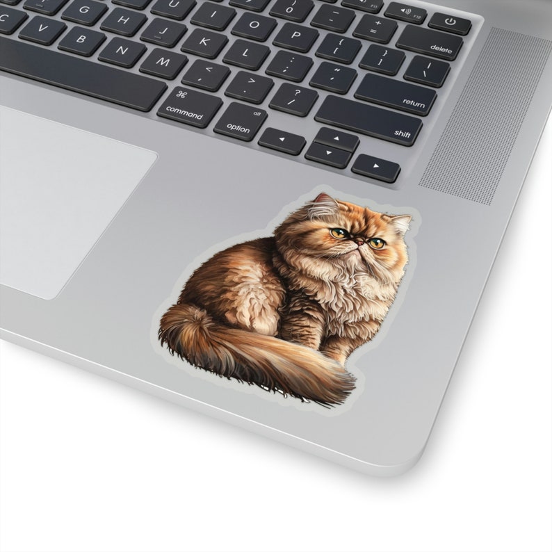 Persian Cat Sticker Cute Persian Cat Sticker Vinyl Cat Phone Sticker Cat Owner Gift Cat Lover Sticker Cute Cat Owner Laptop Sticker Pet Gift Transparent