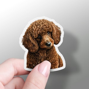 Brown Poodle Dog Sticker Cute Poodle Dog Sticker Vinyl Dog Phone Sticker Poodle Owner Gift Dog Owner Sticker Cute Dog Owner Laptop Sticker