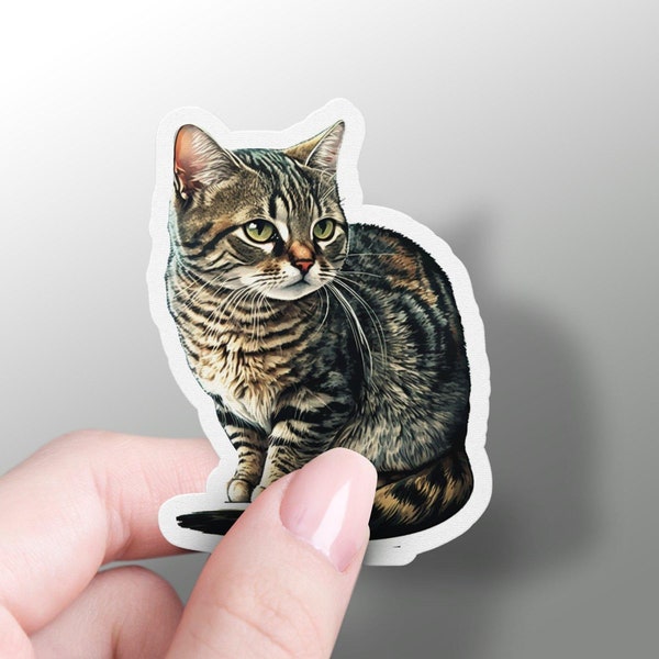 Tabby Cat Sticker, Cute Brown Tabby Cat Sticker, Vinyl Cat Mom Sticker, Grey Tabby Cat, Cat Car Sticker, Cat Themed Gift, Phone Case Sticker