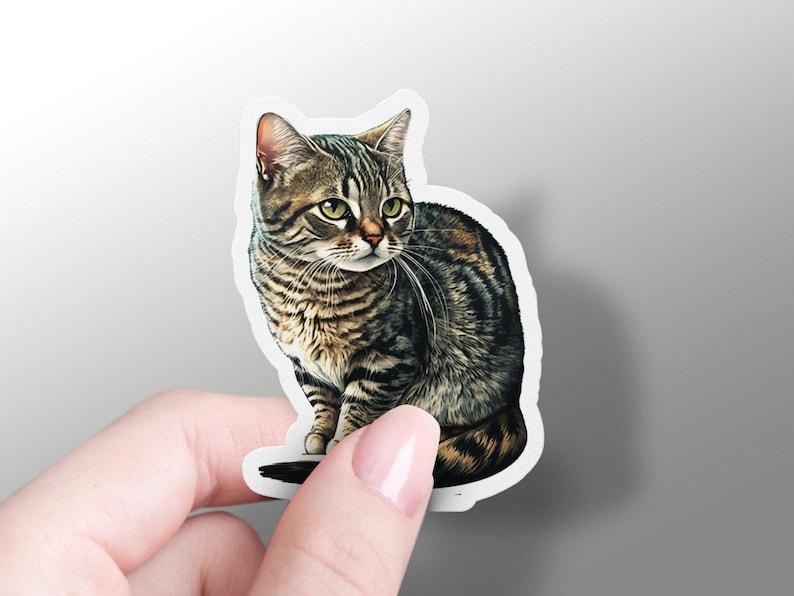 May include: A sticker featuring a realistic illustration of a tabby cat sitting with its head turned to the side. The cat has green eyes and brown and black stripes.