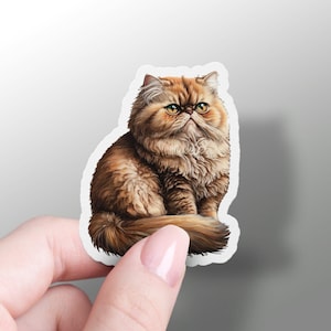 Persian Cat Sticker Cute Persian Cat Sticker Vinyl Cat Phone Sticker Cat Owner Gift Cat Lover Sticker Cute Cat Owner Laptop Sticker Pet Gift