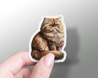 Persian Cat Sticker Cute Persian Cat Sticker Vinyl Cat Phone Sticker Cat Owner Gift Cat Lover Sticker Cute Cat Owner Laptop Sticker Pet Gift