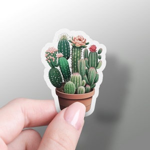 Pegatina de cactus, Clúster de cactus Saguaro, Pegatinas de plantas, Calcomanía de vinilo para computadora portátil, Arizona, Lindo encanto para teléfono, Favores de cactus, Cactus floreciente, Raro