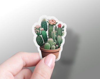 Cactus Sticker, Saguaro Cactus Cluster, Plant Stickers, Vinyl Laptop Decal, Arizona, Cute Phone Charm, Cactus Favors, Blooming Cactus, Rare