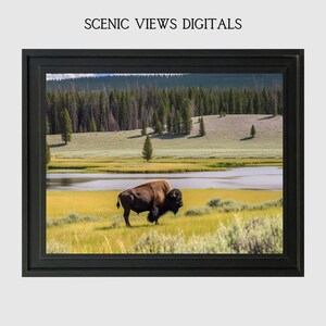 Animal in Field Wall Art National Park Wall Decor National Park Views Living Room Decor Buffalo Instant Download
