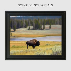 Field Wall Art Animal In Field Wall Art Farm Animal Wall Art Farm Decor Ranch Wall Art Decor Ranch Animal Nature Wall Art