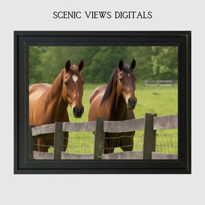 Horse Farm Wall Art Horses Equestrian Wall Decor Farm Animals Wall Art Horse Decor Home Decor Instant Download