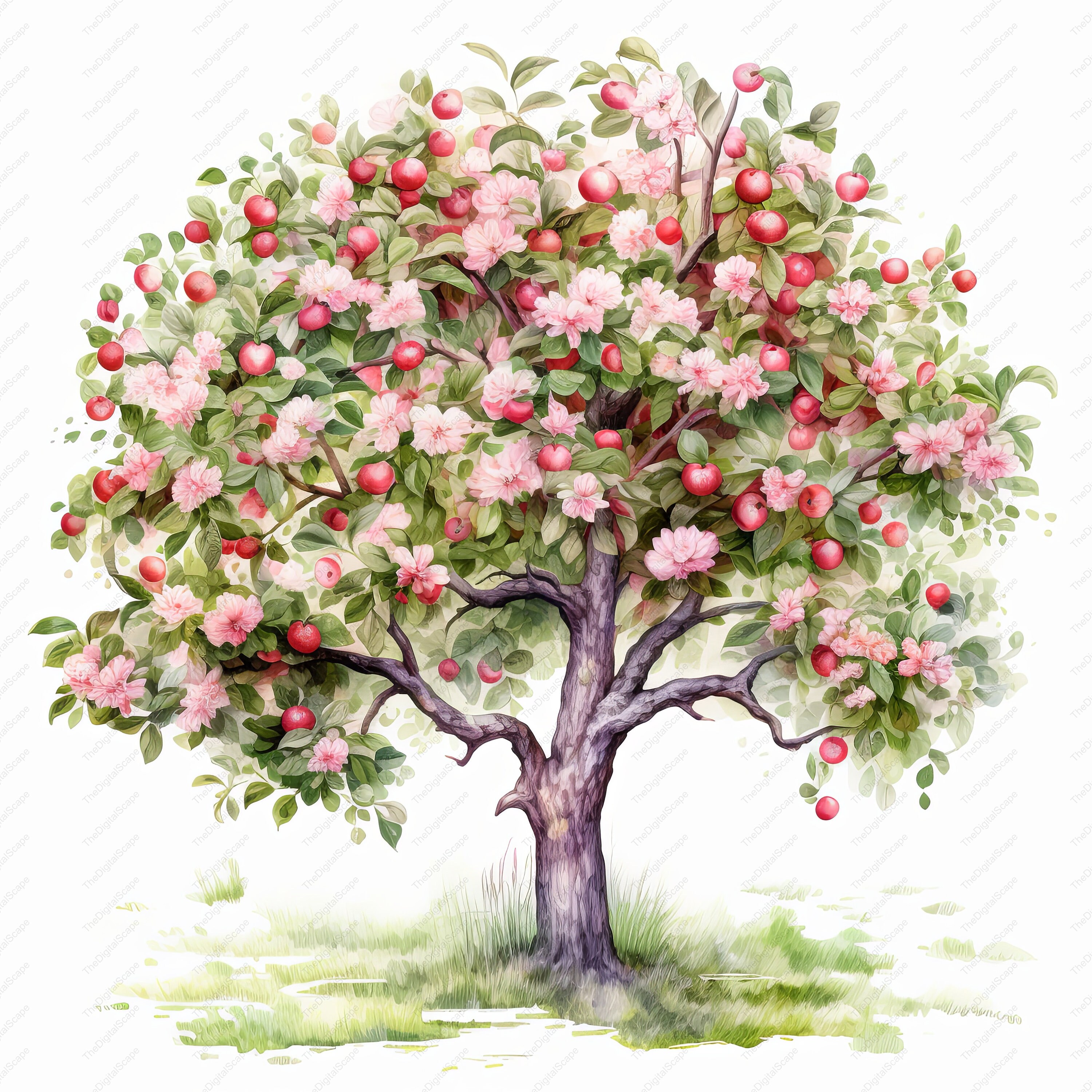 Apple Tree Clipart – High Quality Jpgs, Commercial Use (instant ...