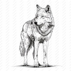 Wolf Line Art Clipart - 10 High Quality JPGs, Scrapbooks, Digital Craft, Digital Planners, Junk Journal, Commercial Use, Instant Download