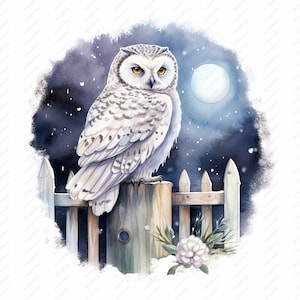 Clipart harfang des neiges - 10 fichiers JPG de haute qualité, albums de coupures, créations numériques, agendas numériques, journal indésirable, usage commercial, téléchargement immédiat