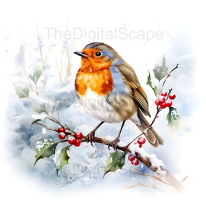 Rotkehlchen Clipart - 10 qualitativ hochwertige JPGs, Scrapbooks, digitales Basteln, digitale Planer, Junk Journal, kommerzielle Nutzung, sofortiger Download