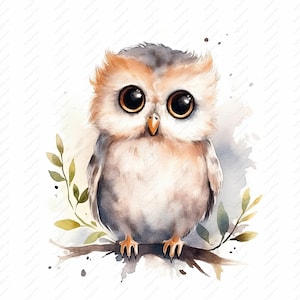 Cute Baby Owl Clipart - 10 High Quality JPGs, Scrapbooks, Digital Craft, Digital Planners, Junk Journal, Commercial Use, Instant Download