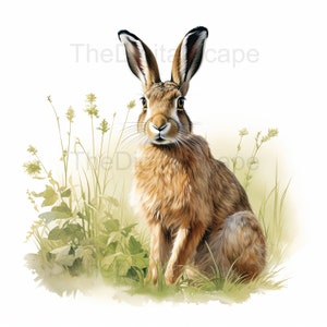 Hare Clipart - 10 High Quality JPGs, Scrapbooks, Digital Craft, Digital Planners, Junk Journal, Commercial Use, Instant Download