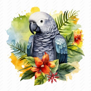 Grey Parrot Clipart - 10 High Quality JPGs, Scrapbooks, Digital Craft, Digital Planners, Junk Journal, Commercial Use, Instant Download