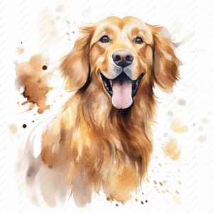 Golden Retriever Clipart - 10 hochwertige JPGs, Scrapbooks, Scrapbooks, Digital Craft, Digitale Planer, Junk Journal, kommerzielle Nutzung, Instant Download