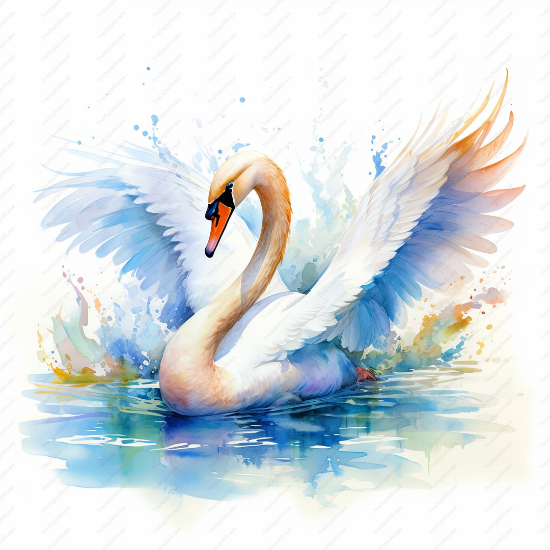 Swan Watercolor Clipart – High Quality Jpgs for Commercial Use (instant ...