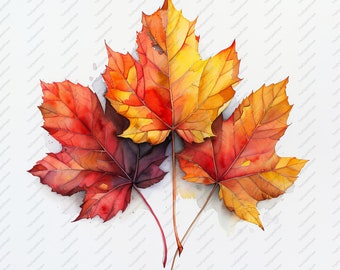 May include: Three autumn leaves in shades of red, orange, and yellow. The leaves are painted in a watercolor style and have a realistic appearance.