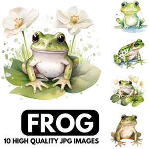 Clipart grenouille - 10 fichiers JPG de haute qualité, art animalier, albums de coupures, créations numériques, agendas numériques, journal indésirable, usage commercial, téléchargement immédiat