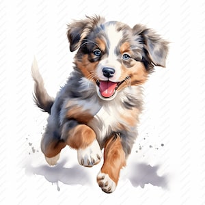 Baby Australian Shepherd Puppy Clipart - 10 High Quality JPGs, Scrapbooks, Digital Craft, Digital Planners, Junk Journal, Instant Download