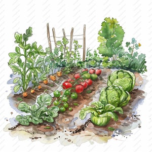 Clipart jardin potager - 10 fichiers JPG de haute qualité, albums de coupures, créations numériques, agendas numériques, journal indésirable, usage commercial, téléchargement immédiat