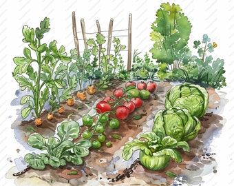 Vegetable Garden Clipart - 10 High Quality JPGs, Scrapbooks, Digital Craft, Digital Planners, Junk Journal, Commercial Use, Instant Download