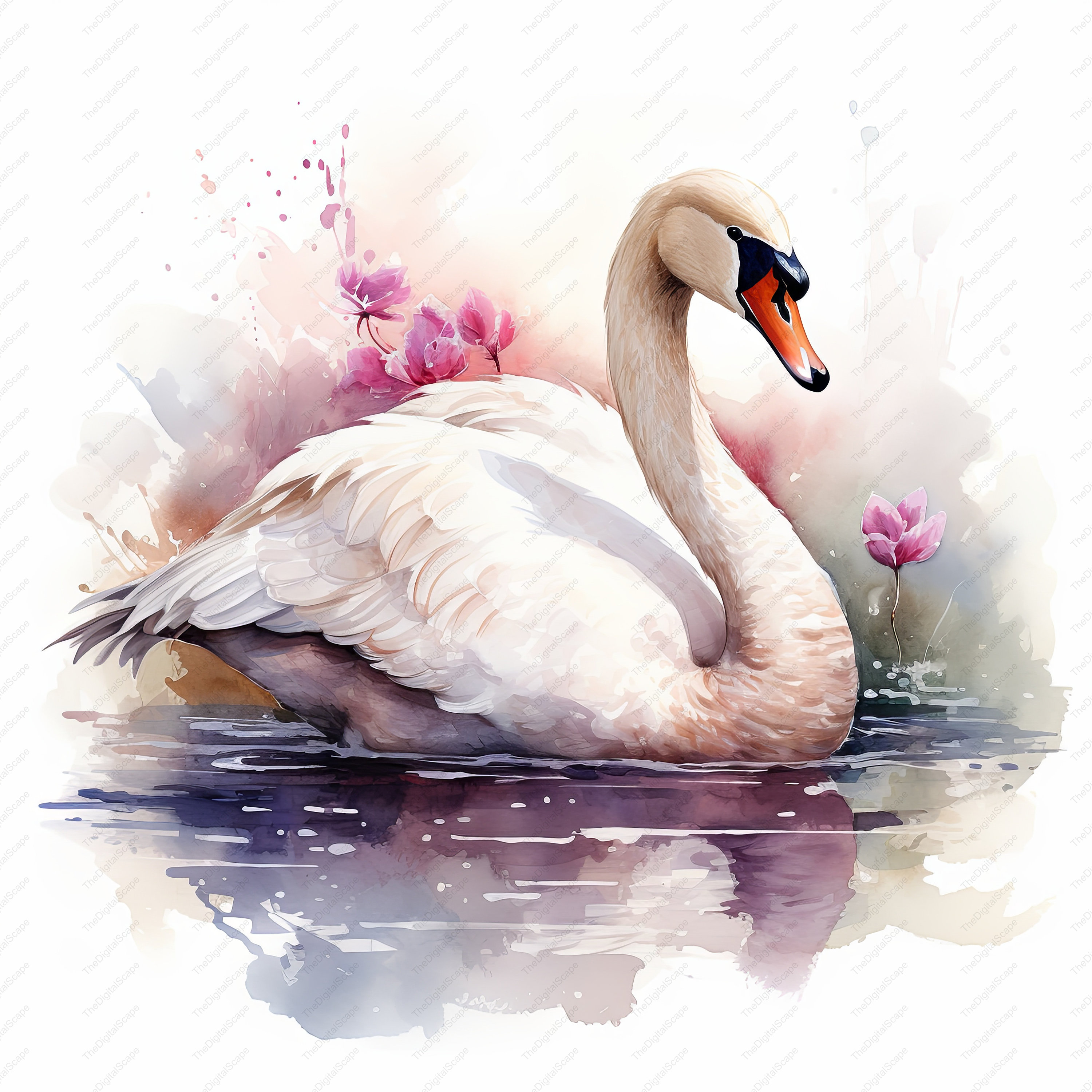 Swan Watercolor Clipart – High Quality Jpgs for Commercial Use (instant ...