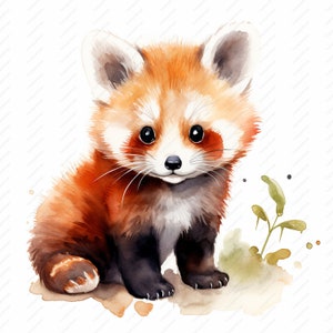 Clipart bébé mignon panda roux - 10 fichiers JPG de haute qualité, albums de coupures, créations numériques, agendas numériques, journal indésirable, commercial, téléchargement immédiat