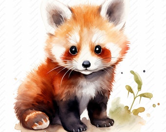 Niedlicher Roter Panda Clipart - hochwertige JPGs, kommerzielle Nutzung (Instant Download)