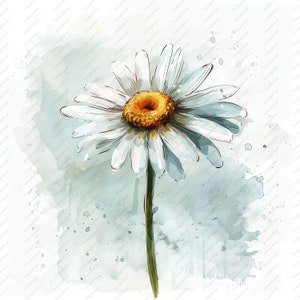 10 cliparts aquarelle marguerite - JPG de haute qualité, albums de coupures, créations numériques, agendas numériques, journal indésirable, commercial, téléchargement immédiat