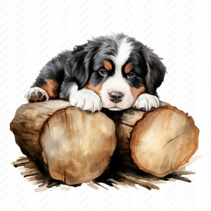Baby Berner Bergwelpe Clipart - 10 hochwertige JPGs, Scrapbooks, digitales Handwerk, digitale Planer, Junk Journal, Sofort Download