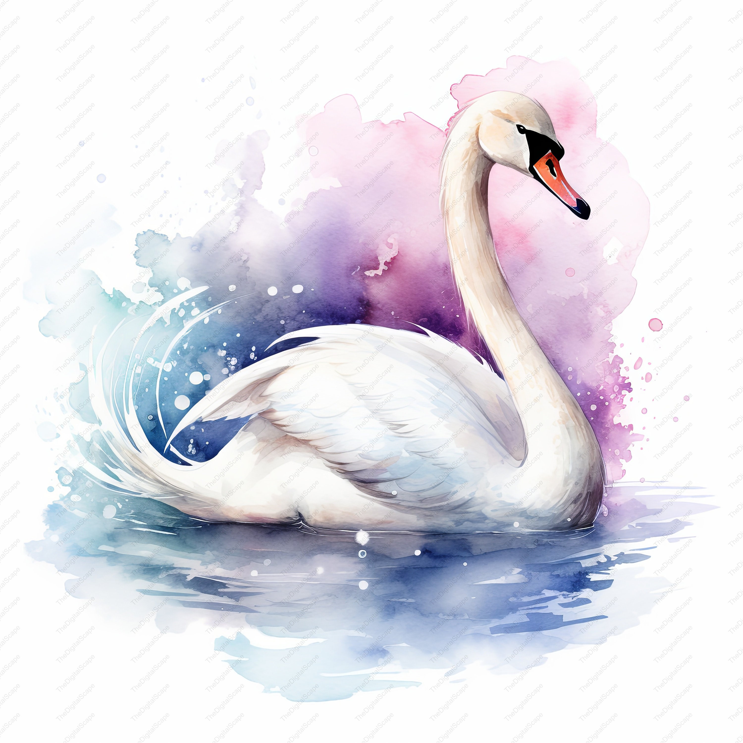 Swan Watercolor Clipart – High Quality Jpgs for Commercial Use (instant ...