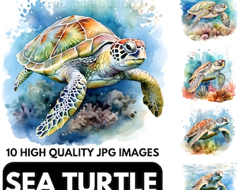 Clipart di tartarughe marine: immagini JPG di alta qualità, uso commerciale (download immediato)