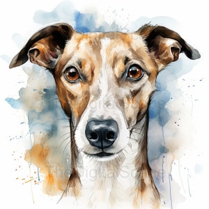Greyhound Clipart - 10 JPG di alta qualità, album di ritagli, artigianato digitale, pianificatori digitali, diario spazzatura, uso commerciale, download istantaneo