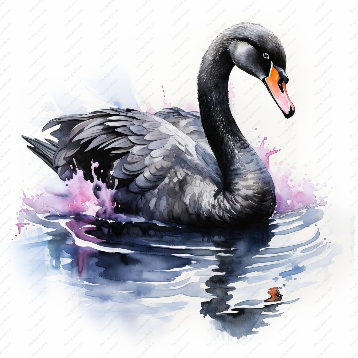 Black Swan Clipart 10 High Quality Jpgs, Scrapbooks, Digital Craft ...