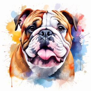 Bulldog Clipart - 10 High Quality JPGs, Scrapbooks, Digital Craft, Digital Planners, Junk Journal, Commercial Use, Instant Download