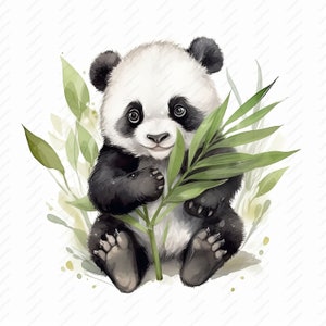 Schattige Baby Panda Clipart - 10 hoge kwaliteit JPG's, Plakboeken, Digitale Ambacht, Digitale Planners, Ongewenste Journal, Commercieel Gebruik, Instant Download