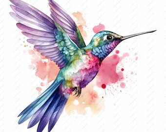 Watercolor Hummingbird Clipart – High Quality JPGs, Commercial Use (Instant Download)