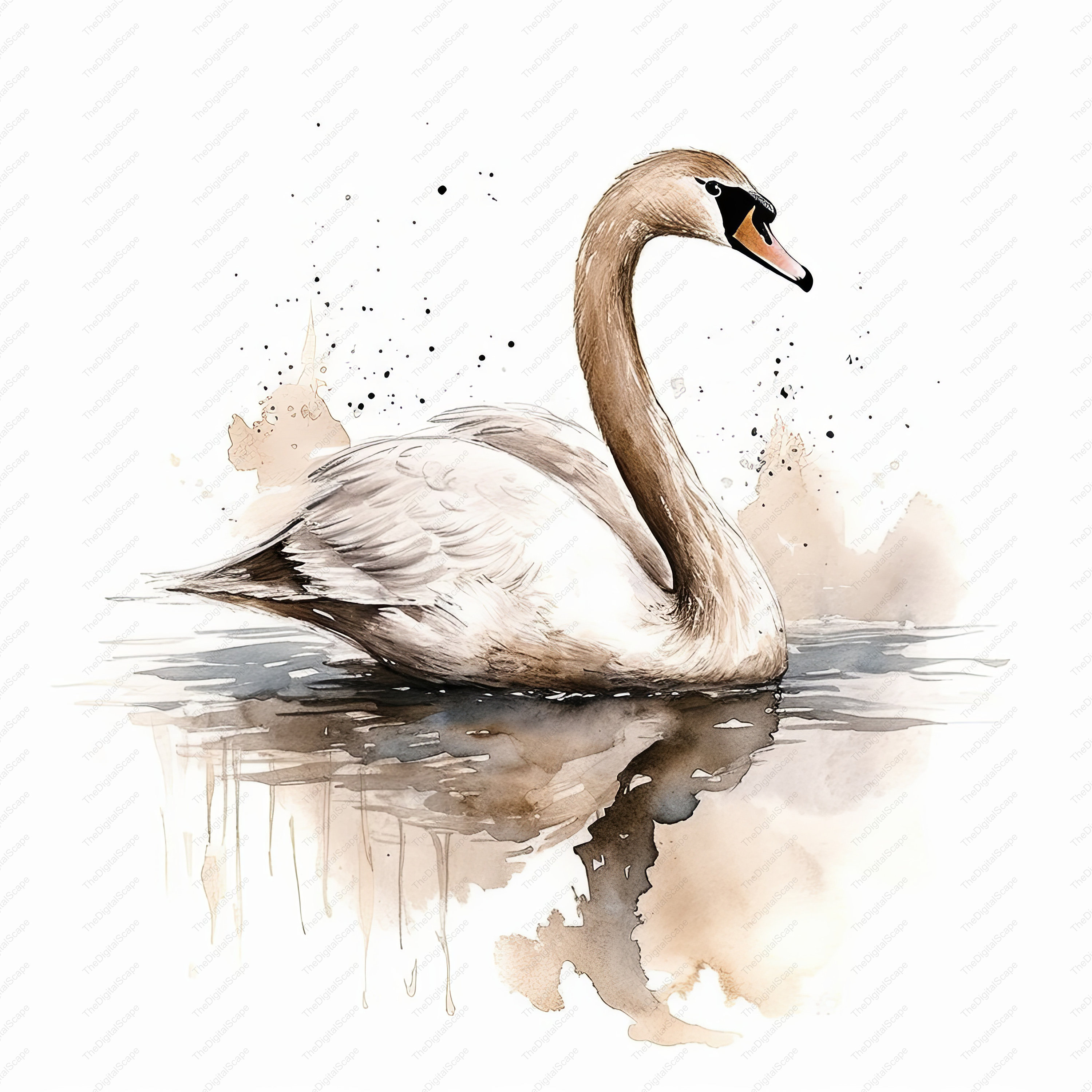 Swan Watercolor Clipart – High Quality Jpgs for Commercial Use (instant ...