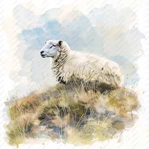 10 Clipart di pecore di collina - JPG di alta qualità, album di ritagli, artigianato digitale, pianificatori digitali, diario spazzatura, uso commerciale, download istantaneo
