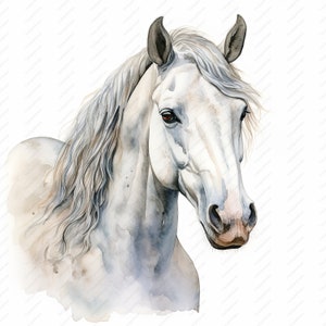 White Horse Clipart - 10 High Quality JPGs, Scrapbooks, Digital Craft, Digital Planners, Junk Journal, Commercial Use, Instant Download